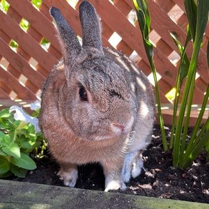 Meet your Posher, Sergio